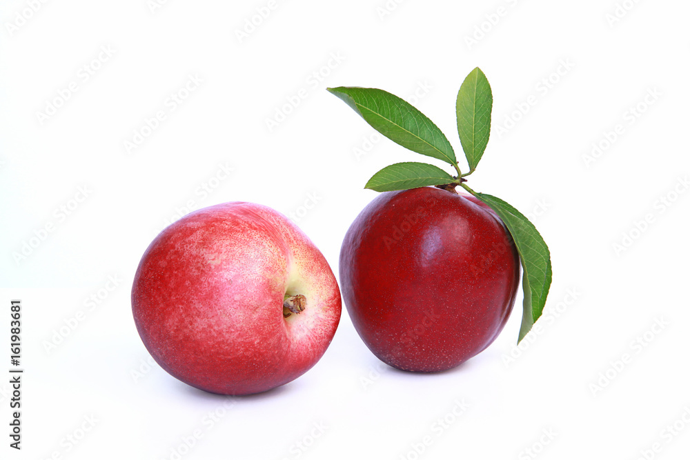 Nectarines Nectarines