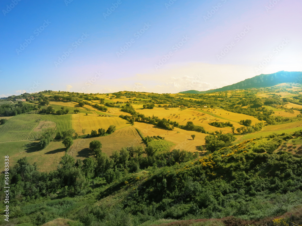 Naklejka premium вид на живописные холмы с виноградниками и сельскими полями