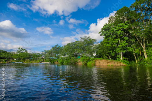 Dense vegetation on Cuyabeno river inside of the amazon rainforest in Cuyabeno Wildlife Reserve National Park, South America Ecuador