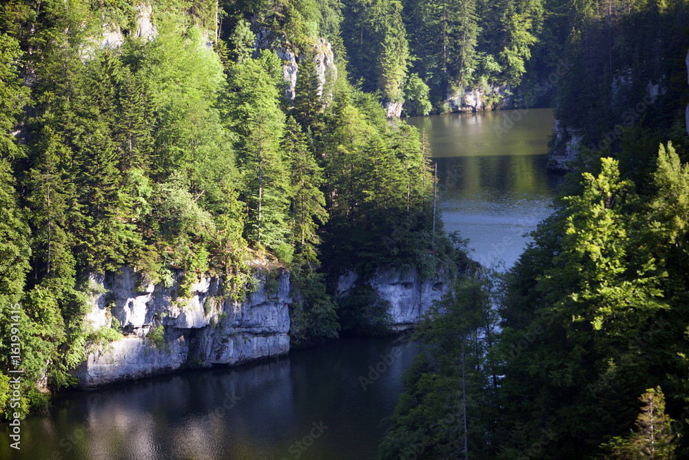 Forest landscape in Switzerland near Les Brenets village with the river Doubs Forest landscape in Switzerland near Les Brenets village with the river Doubs