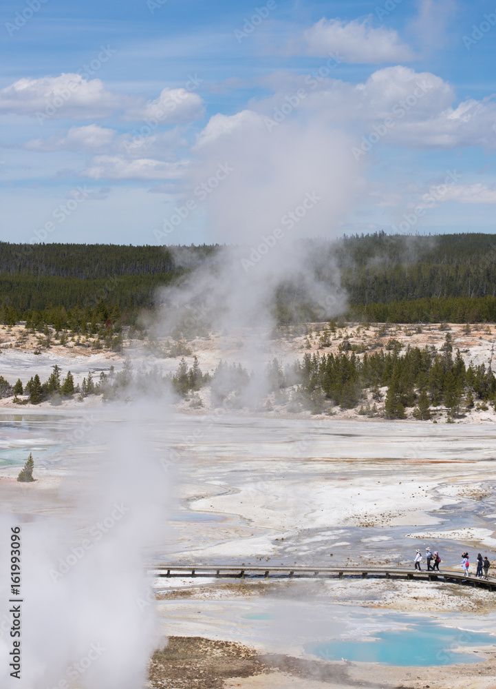 Norris Geyser Basin from Above with an erupting geyser in the foreground and brilliant blue thermal pools near a boardwalk in the distance. Norris Geyser Basin from Above with an erupting geyser in the foreground and brilliant blue thermal pools near a boardwalk in the distance.