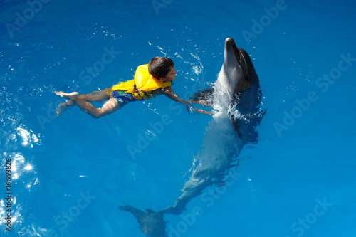 A happy child swims with a dolphin in a life jacket, holding on to fins, in the Sevastopol Dolphinarium