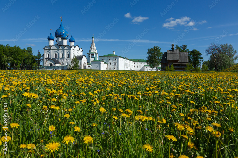 Field of yellow dandelions in Suzdal Kremlin