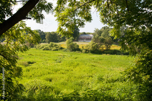 Green open space with mature trees on a sunny day with light clouds at Stroud Preserve