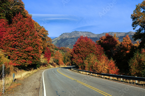 Ruta de los Siete Lagos, San Martin De Los Andes.