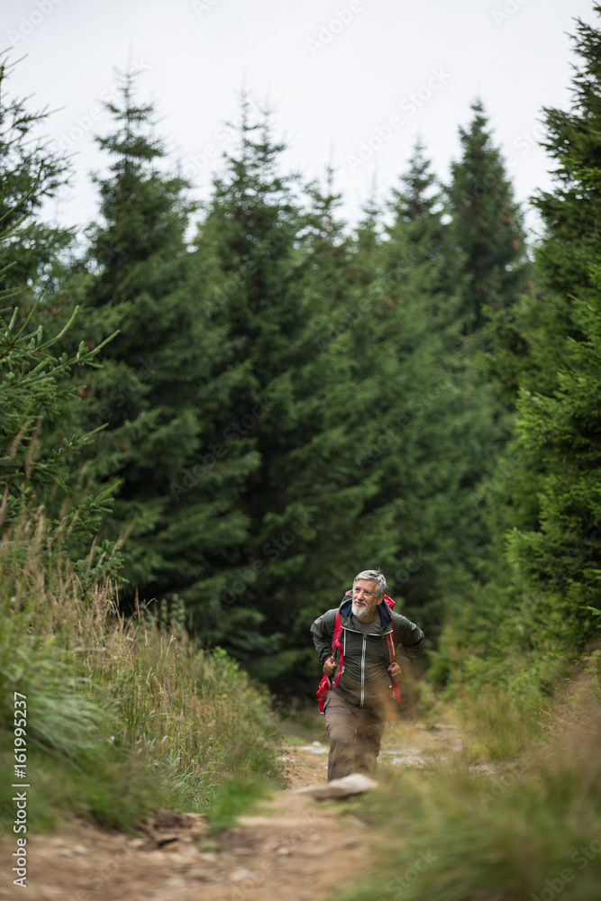 Active senior hiking in high mountains - enjoying his retirement in an active way Active senior hiking in high mountains - enjoying his retirement in an active way