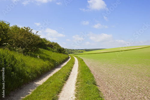 scenic curving farm track