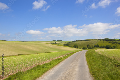 pea crop and highway