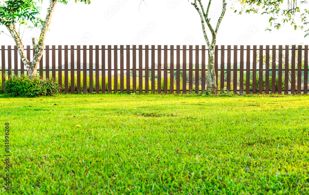 Fence with green grass in garden Fence with green grass in garden