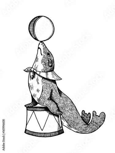 Circus seal with ball engraving vector