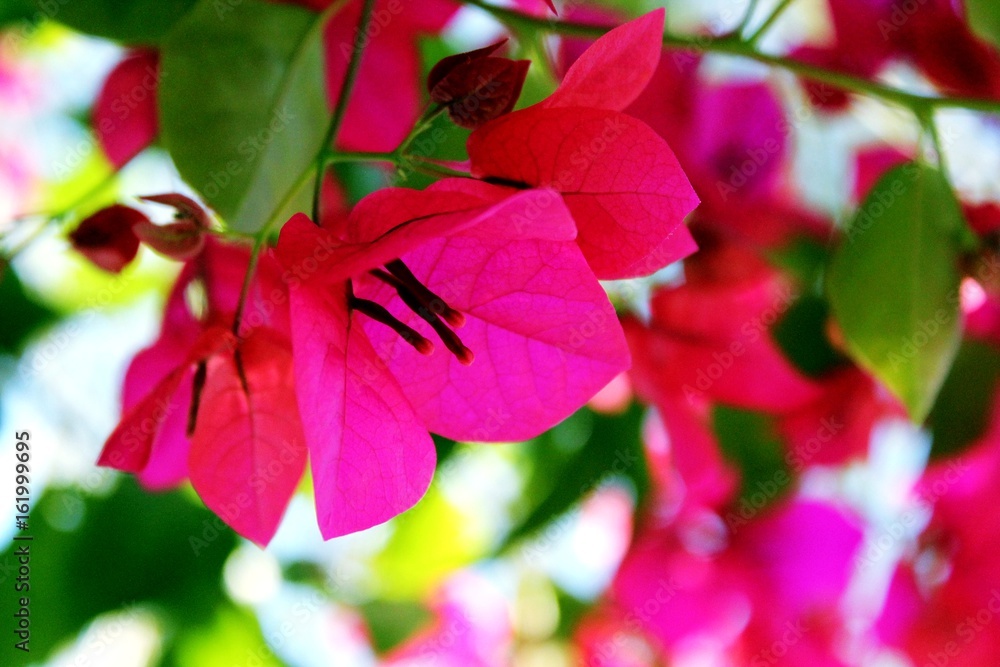 Obraz premium building landscape architecture sky beautiful view a nice place journey nature Rivers