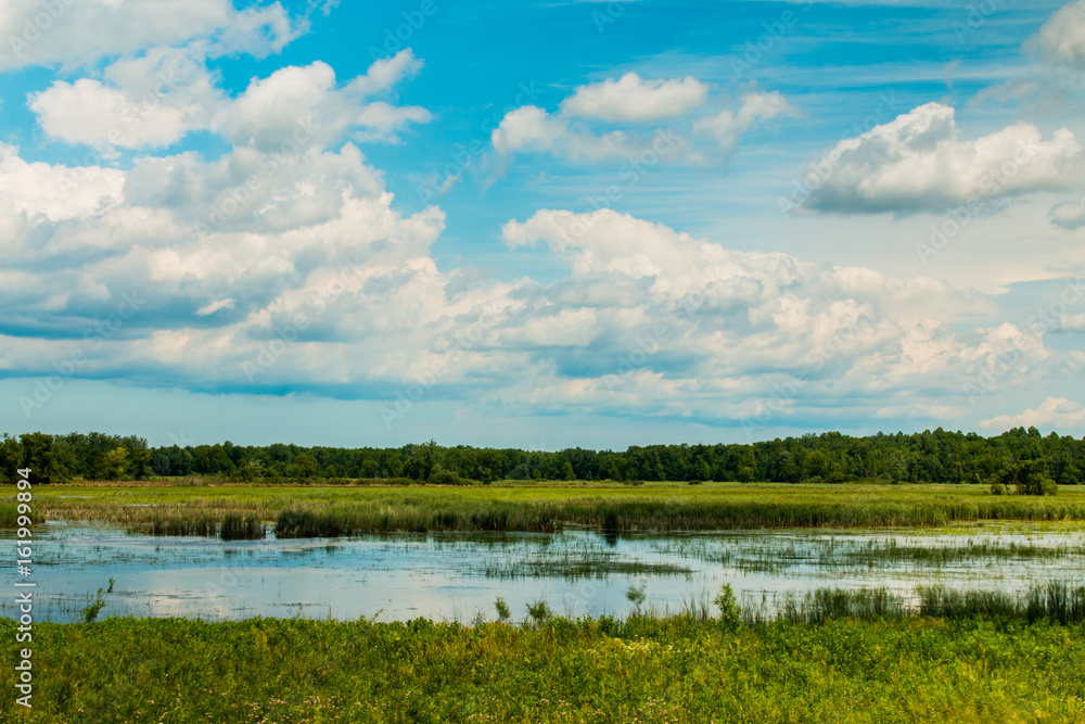 Fototapeta premium Wetlands and Sky