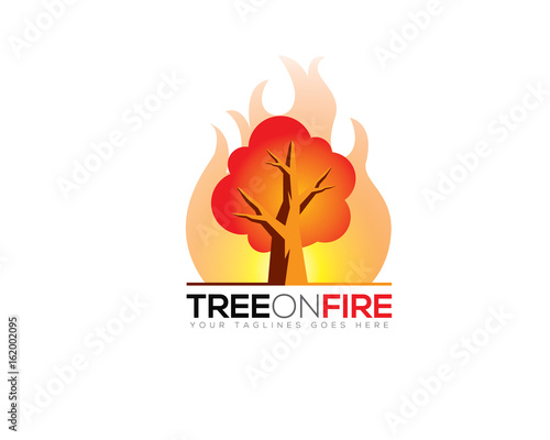 big tree on fire