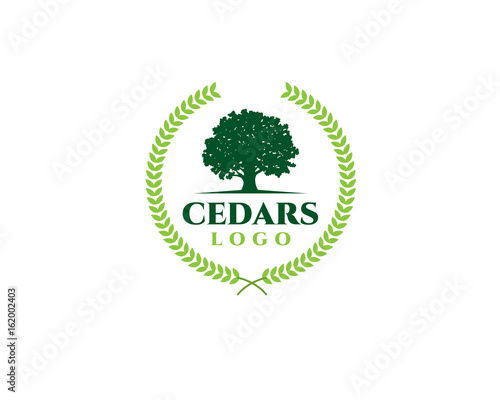 green emblem cedar logo with wheat olive grain