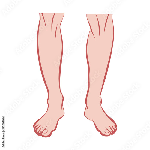 HUMAN LEGS, MAN LEGS ILLUSTRATION VECTOR