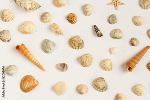 Set of multiple seashells isolated over the white background