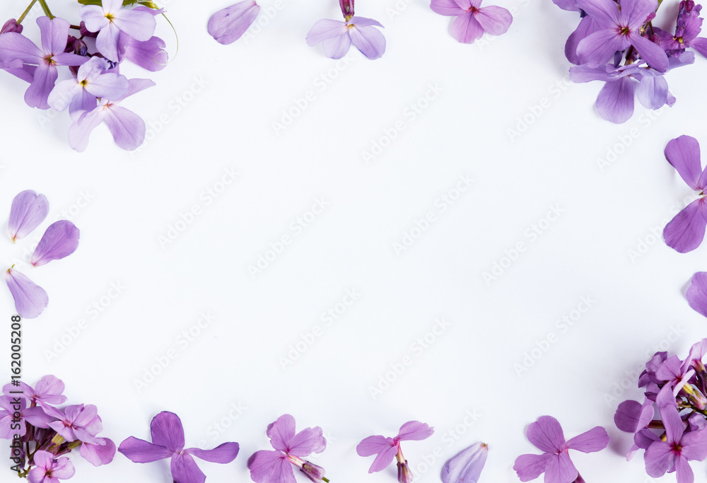 Fototapeta premium Purple flowers on white marble background with room for text