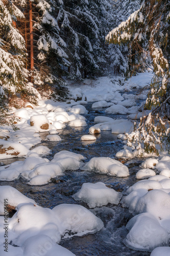 snowy creek in the middle of a forest in sunlight conditions