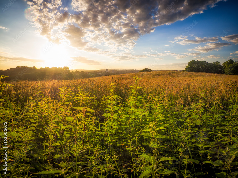 Fototapeta premium summer countryside morning,Northern Ireland