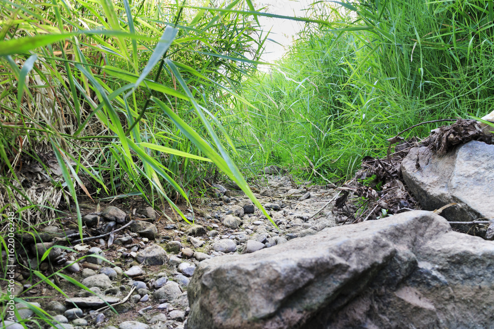 Notstand am Wiesenbach: ausgetrockneter Vlattener Bach in der Voreifel nach Schönwetterperiode im Sommer. Notstand am Wiesenbach: ausgetrockneter Vlattener Bach in der Voreifel nach Schönwetterperiode im Sommer.