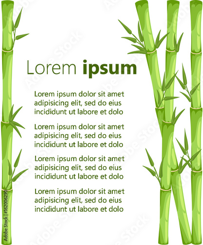 Bamboo with leaf vector illustration. Asian bambu zen plants background Web site page and mobile app design vector element.
