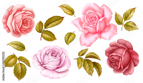 Vector floral set of pink red blue white vintage rose flowers green golden leaves isolated on white background. Digital watercolor illustration.