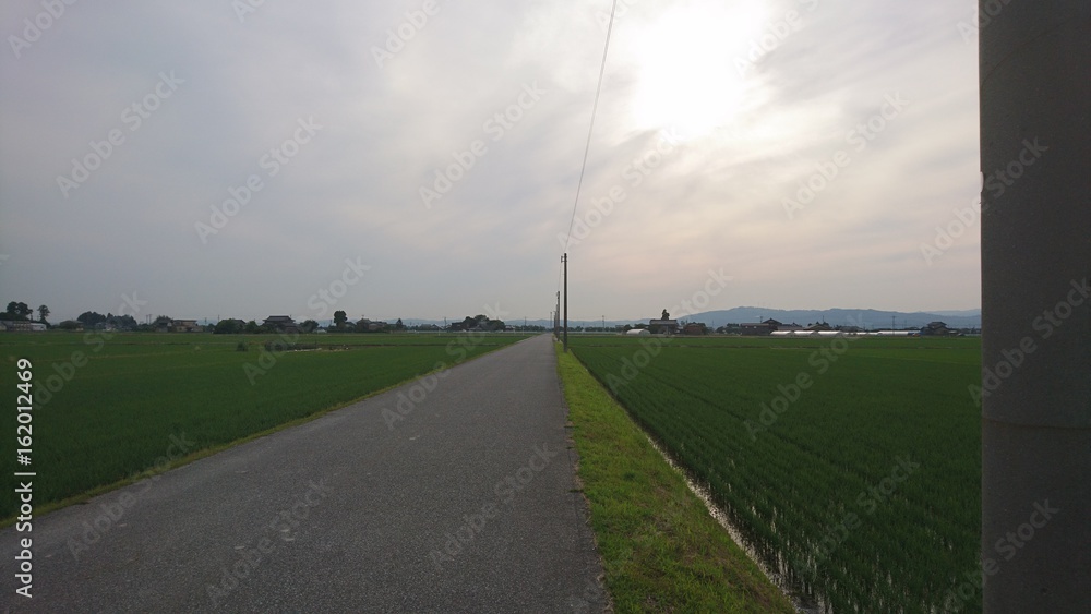 日本の田舎道