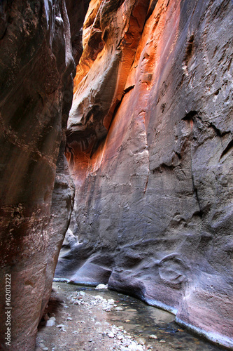 Sunlight on canyon walls of the Narrows in Zion National Park