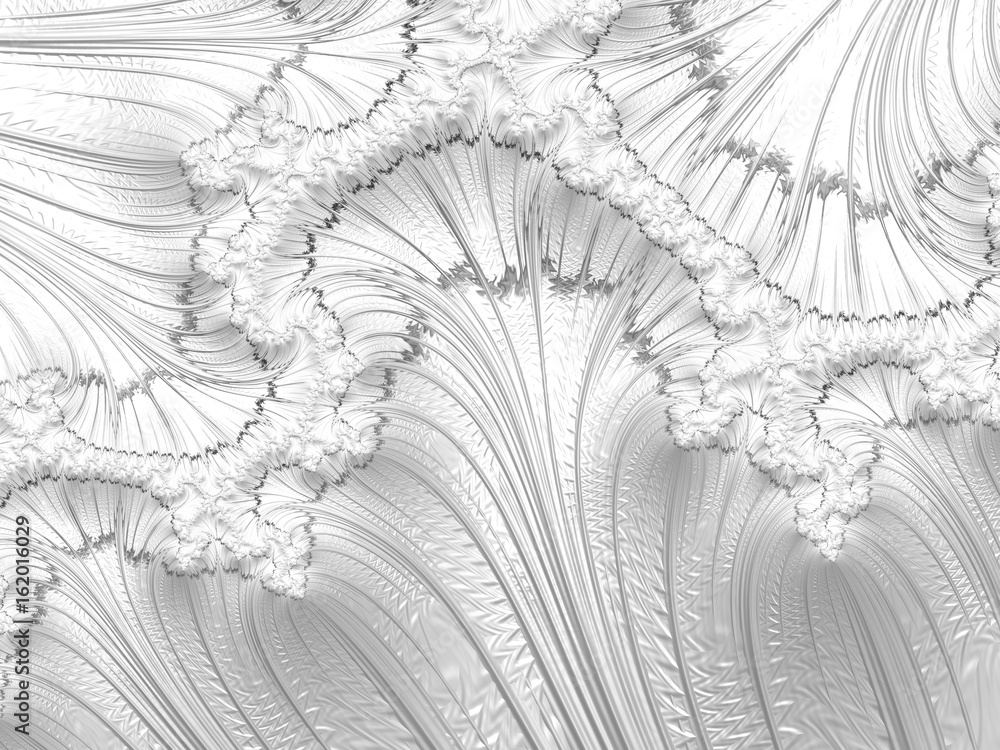 Obraz premium Black and White Fractal Pattern