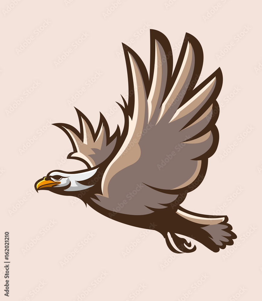 Obraz premium Vector illustration, flying eagle