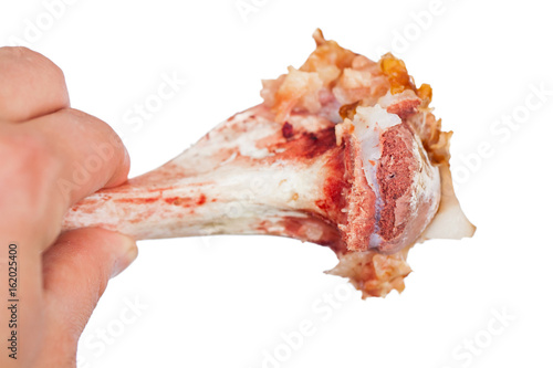 Human hand holding a juicy bone photo