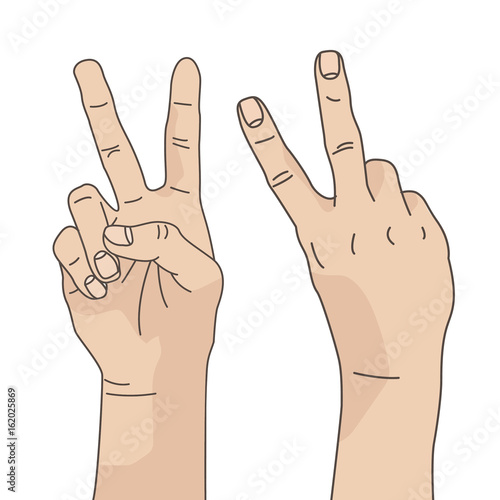 Two hands showing two fingers. Hand from the front and back. Victory, peace sign