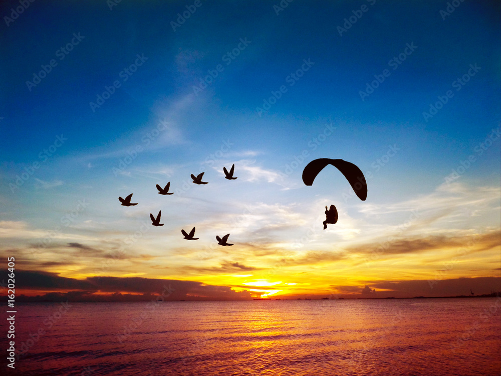 silhouette flying birds and paramotor over sea and sunset sky