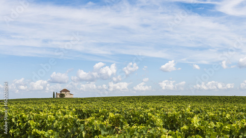 Chapel in vinyard Saint-Estephe