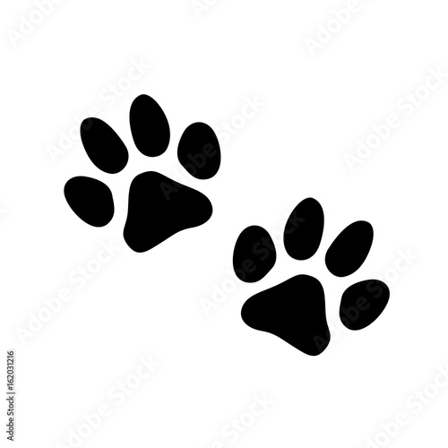 Pair of paw prints icon