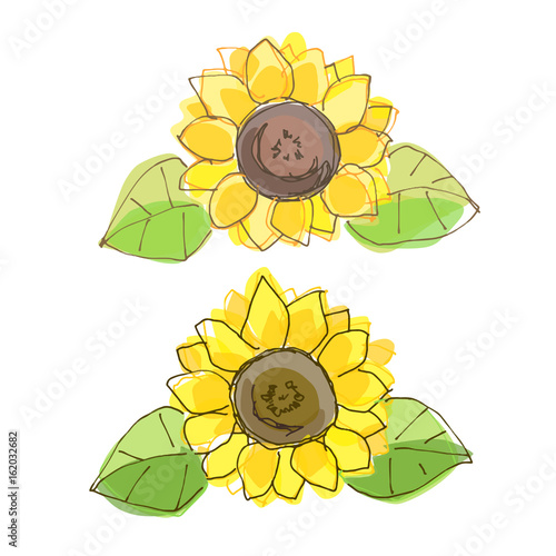 SunFlower01