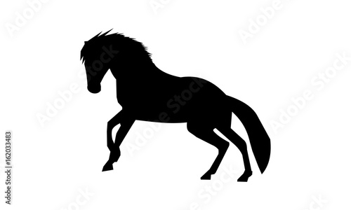 horse silhouette vector