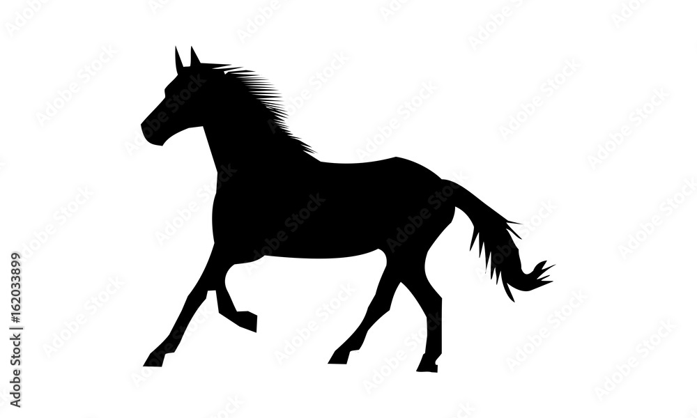 silhouette horse ran