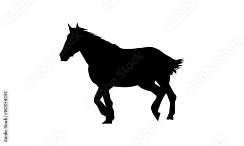 vector of horse