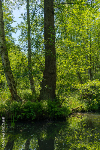 Beautiful river landscape 