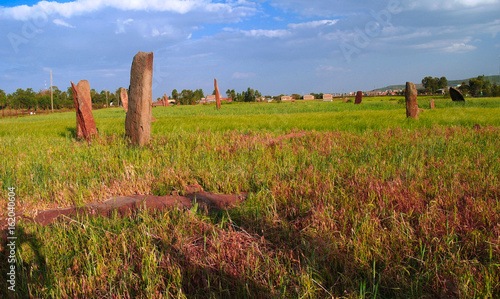 ancient Megalith stela field in Axum  Tigray  Ethiopia