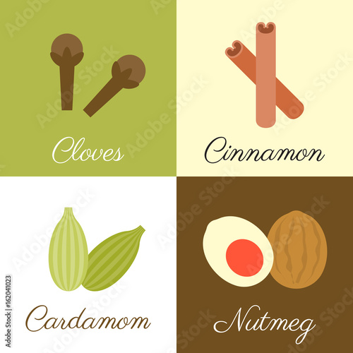 Icon of herbs and spices , cloves, cinnamon, cardamom and nutmeg, flat design