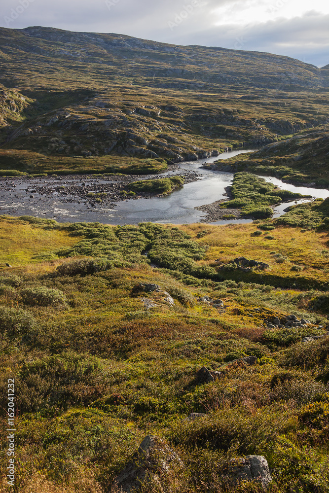 Bright sunlit rivulet flows through tundra landscape, Hardangervidda Plateau, Norway