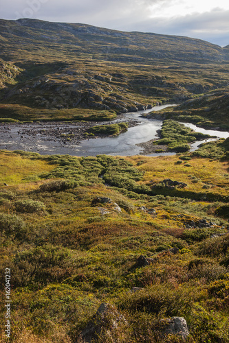 Bright sunlit rivulet flows through tundra landscape, Hardangervidda Plateau, Norway © Arkadii Shandarov