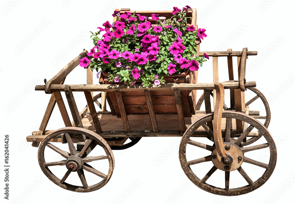 Fototapeta premium Colorful of petunia flowers on wooden trolley 