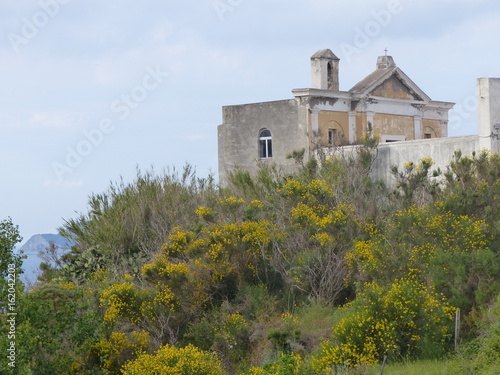 Chiesa di mezzo ai fiori di ginestra gialli nell' isola di Ponza in Italia. photo