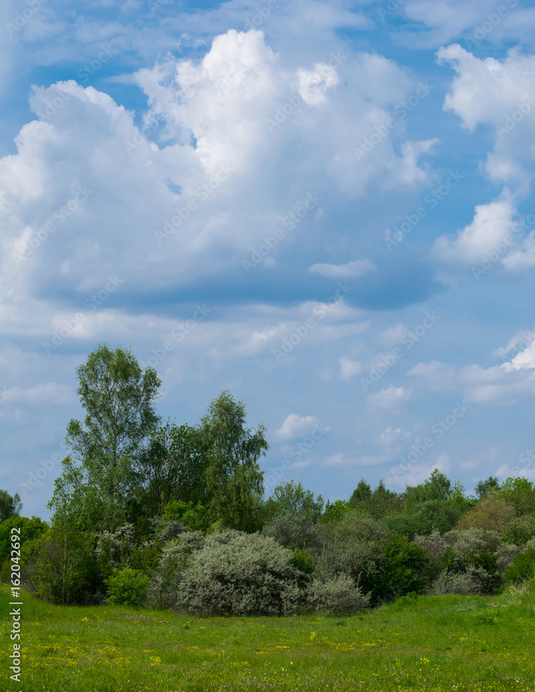 Naturlandschaft mit Wiese, Bäumen und Wolkenhimmel Naturlandschaft mit Wiese, Bäumen und Wolkenhimmel
