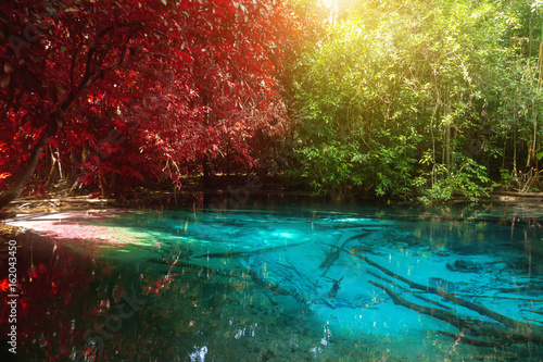 Amazing nature  Blue pond in the forest. Krabi  Thailand.