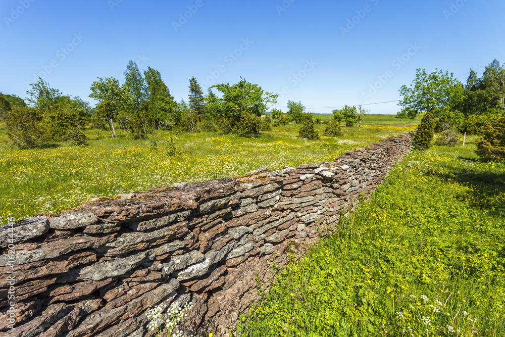 Flowering summer meadow with a stone wall