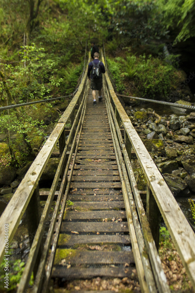 Fototapeta premium Bridge Way